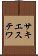 サキエステワ Scroll