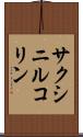 サクシニルコリン Scroll