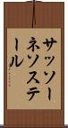 サッソーネソステール Scroll