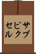 サブピクセル Scroll