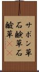 サボン草 Scroll