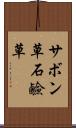 サボン草 Scroll