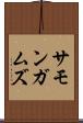 サモンガムズ Scroll
