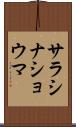サラシナショウマ Scroll