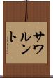サワルント Scroll