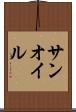 サンオイル Scroll