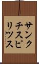 サンクチスピリツス Scroll