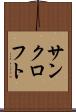 サンクロフト Scroll