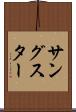 サングスター Scroll