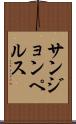 サンジョンペルス Scroll