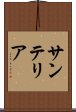 サンテリア Scroll