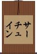 サーチュイン Scroll