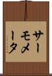 サーモメータ Scroll
