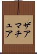 ザアマチュア Scroll