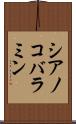 シアノコバラミン Scroll