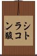 シトラコン酸 Scroll