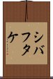 シバフタケ Scroll