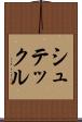 シュテックル Scroll