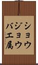 ショウジョウバエ属 Scroll