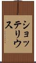 ショッテリウス Scroll