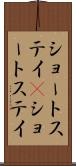 ショートステイ(P) Scroll