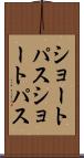 ショートパス Scroll