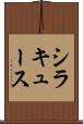 シラキュース Scroll