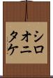 シロオニタケ Scroll