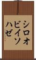 シロオビイソハゼ Scroll
