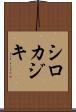 シロカジキ Scroll