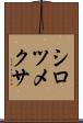 シロツメクサ Scroll