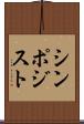 シンポジスト Scroll