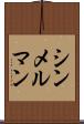 シンメルマン Scroll