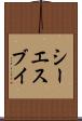 シーエスブイ Scroll