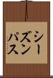 シーズンパス Scroll