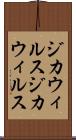 ジカウィルス Scroll