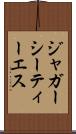 ジャガーシーティーエス Scroll