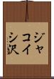 ジャコイシ沢 Scroll
