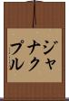ジャナクプル Scroll