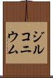 ジルコニウム Scroll