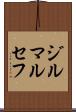 ジルマ・ルセフ Scroll