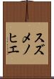スズメノヒエ Scroll