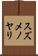 スズメノヤリ Scroll