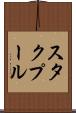 スタクプール Scroll