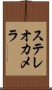 ステレオカメラ Scroll