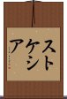 ストケシア Scroll