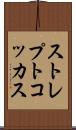 ストレプトコッカス Scroll