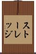 ストーレッジ Scroll