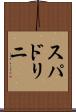 スパドリニ Scroll