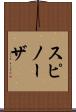 スピノーザ Scroll